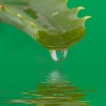 Natural Arthritis Homeopathic Remedies