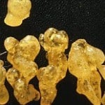 Cardiff University Takes Another Look at Frankincense as a Treatment For Arthritis